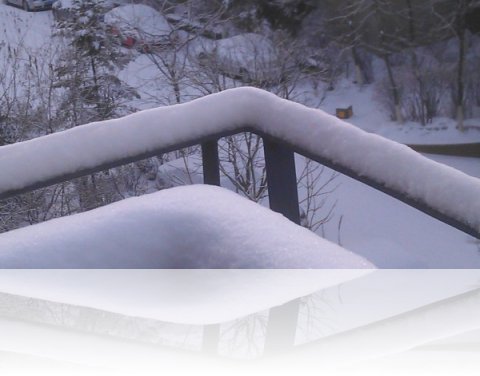 十年雪落图片