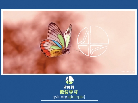 qiutopia2018butterfly