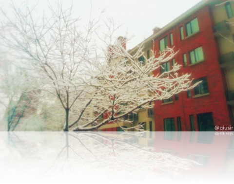 20140304springsnow