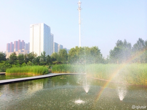 2014csgrainbow