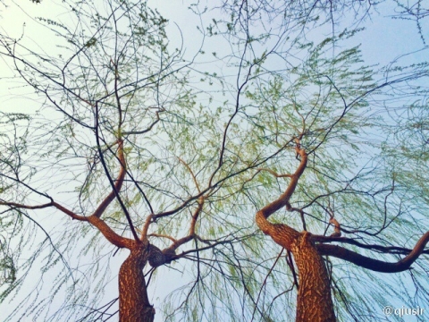 20150417.jpg