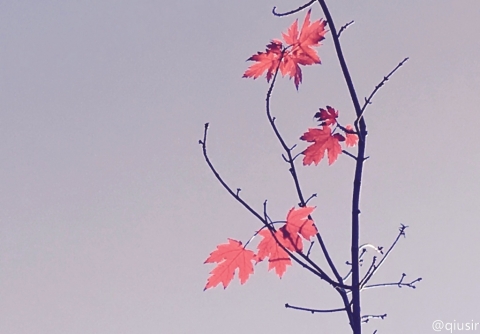 201610284