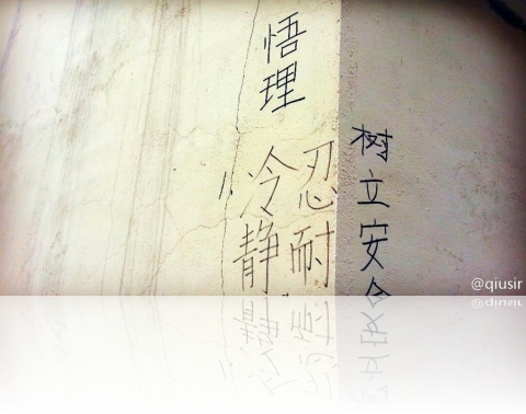 gwzk389