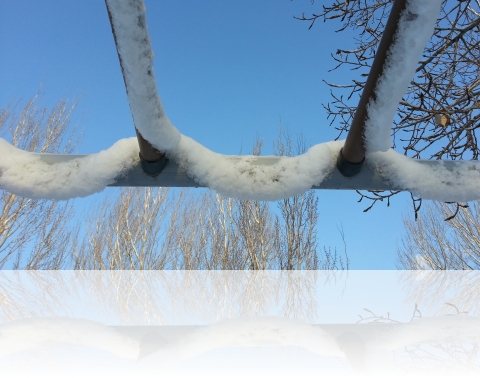 sinsnow1