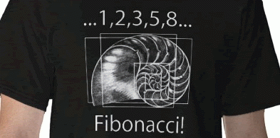 Fibonaccitshirt.gif
