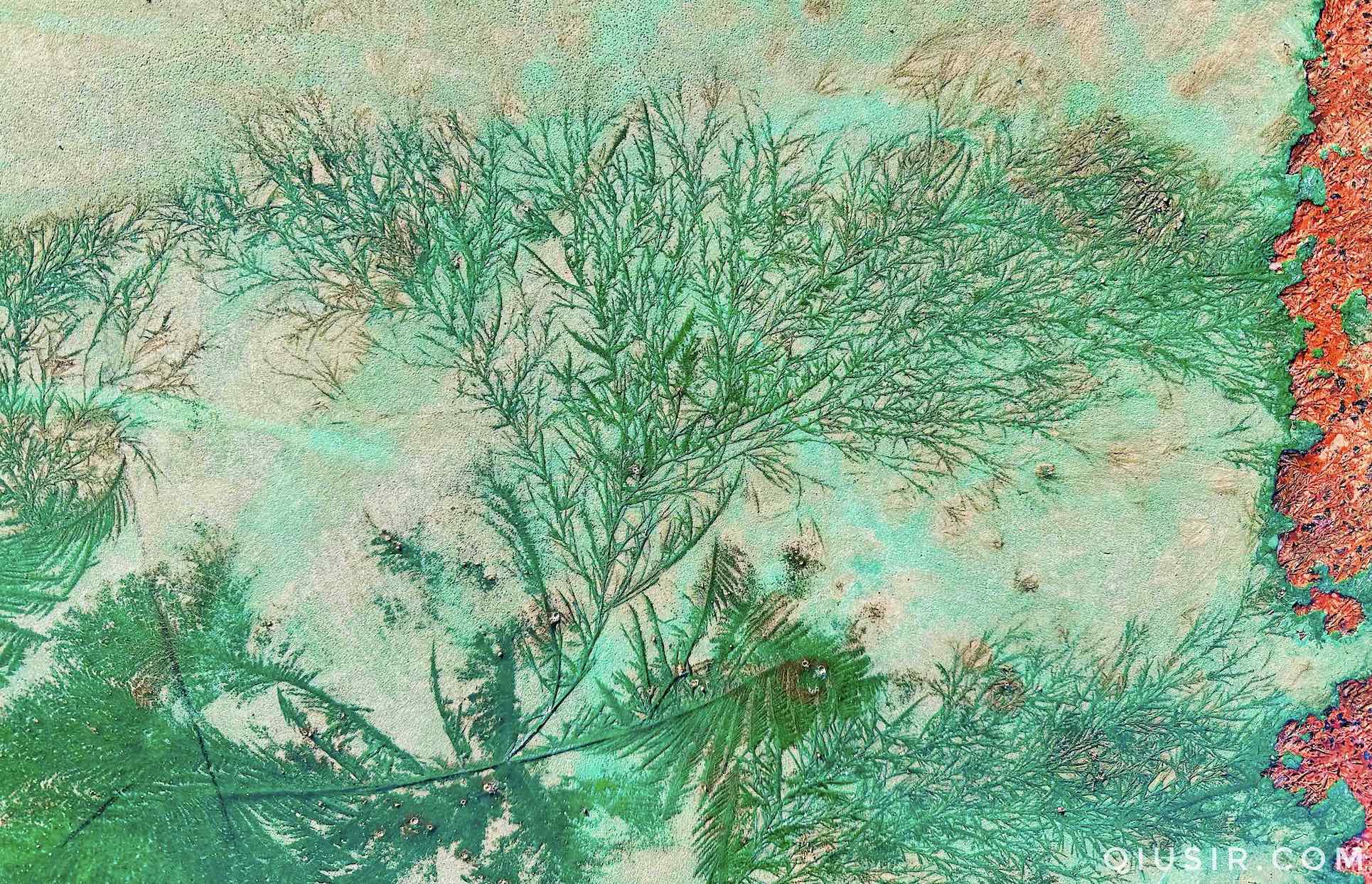 ‎