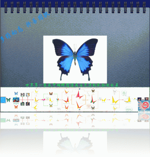qiusirshenzhen5.gif