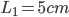 L_{1}=5cm