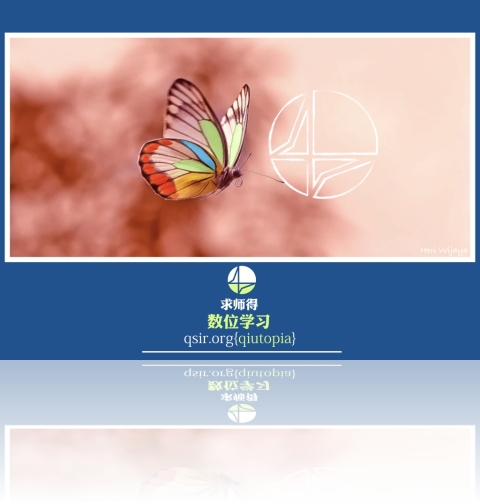 qiutopia2018butterfly