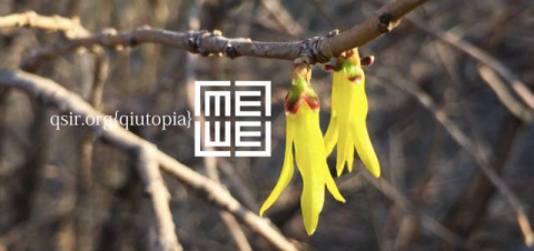 qiutopia2016