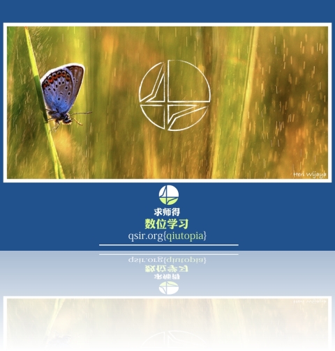 qiutopia2018sh06