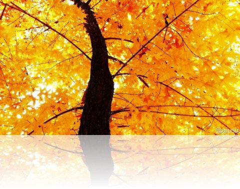 201311001h