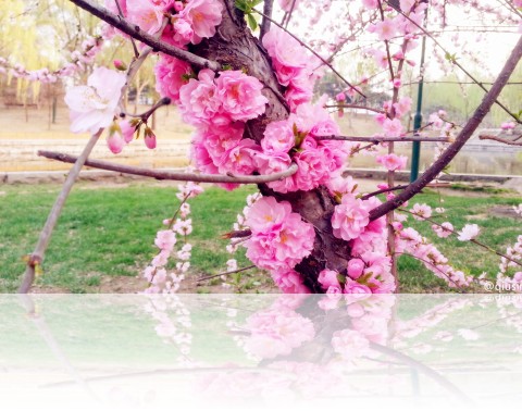 20140413_15