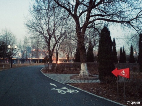201503192.jpg