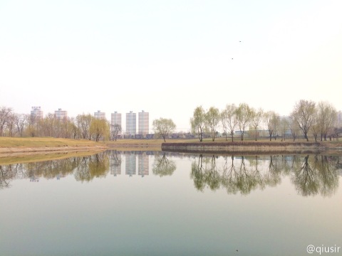 201504113.jpg