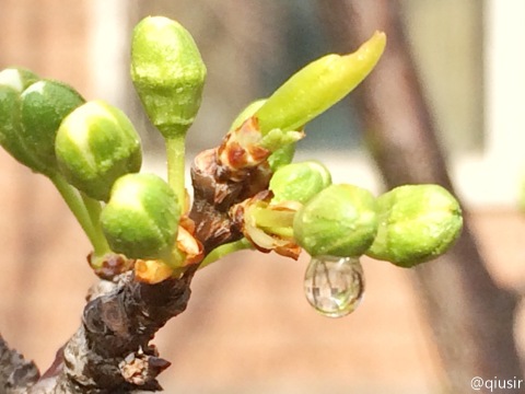 201504162.jpg