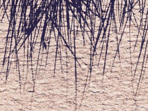 20150504.jpg