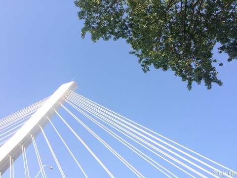 20150506.jpg