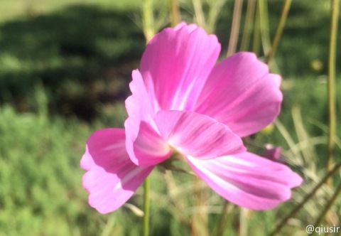 201509102