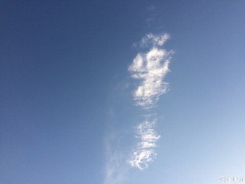 20154203.jpg