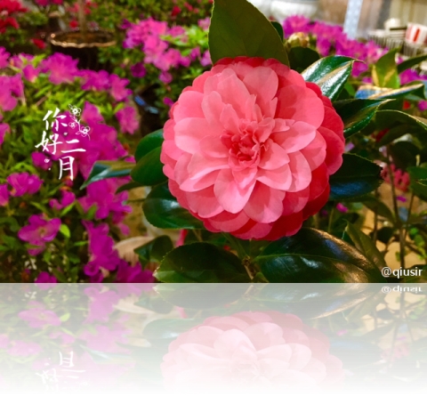 20160206