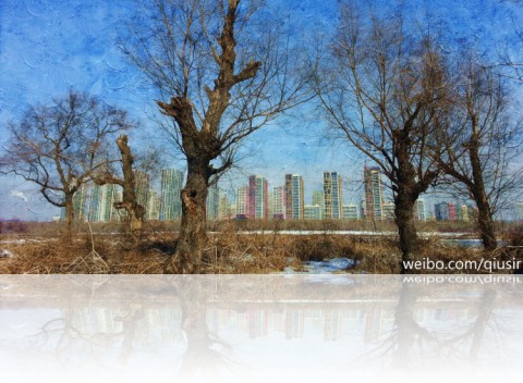 laoyangshu2012