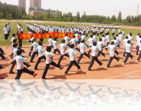 neyc20135310