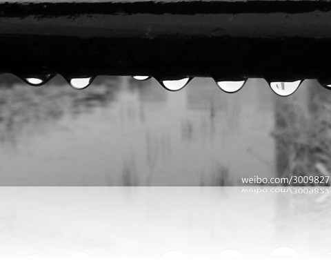 rainwq