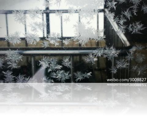 windowice2