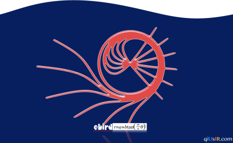 curvenerdf13