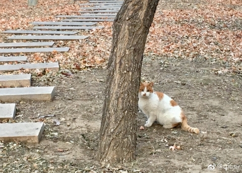 201711273