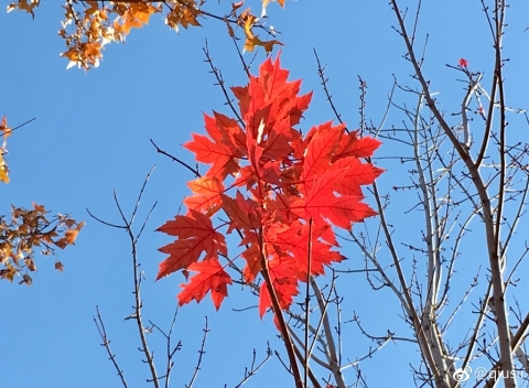 20171130
