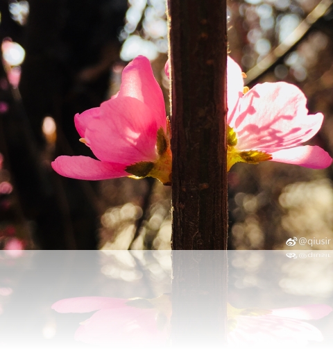 201804166