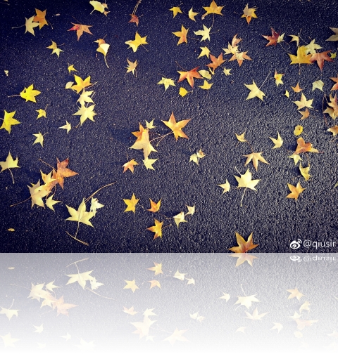 20181023
