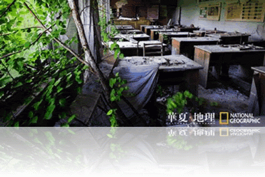 Chernobyl3.gif