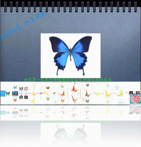 qiusirshenzhen5.gif